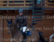 Quality Tosc Tour2013- S5 1856 : Arezzo, Cavalli d'Italia, Quality Up, Toscana Tour 2013, foto di Stefano Secchi ©
